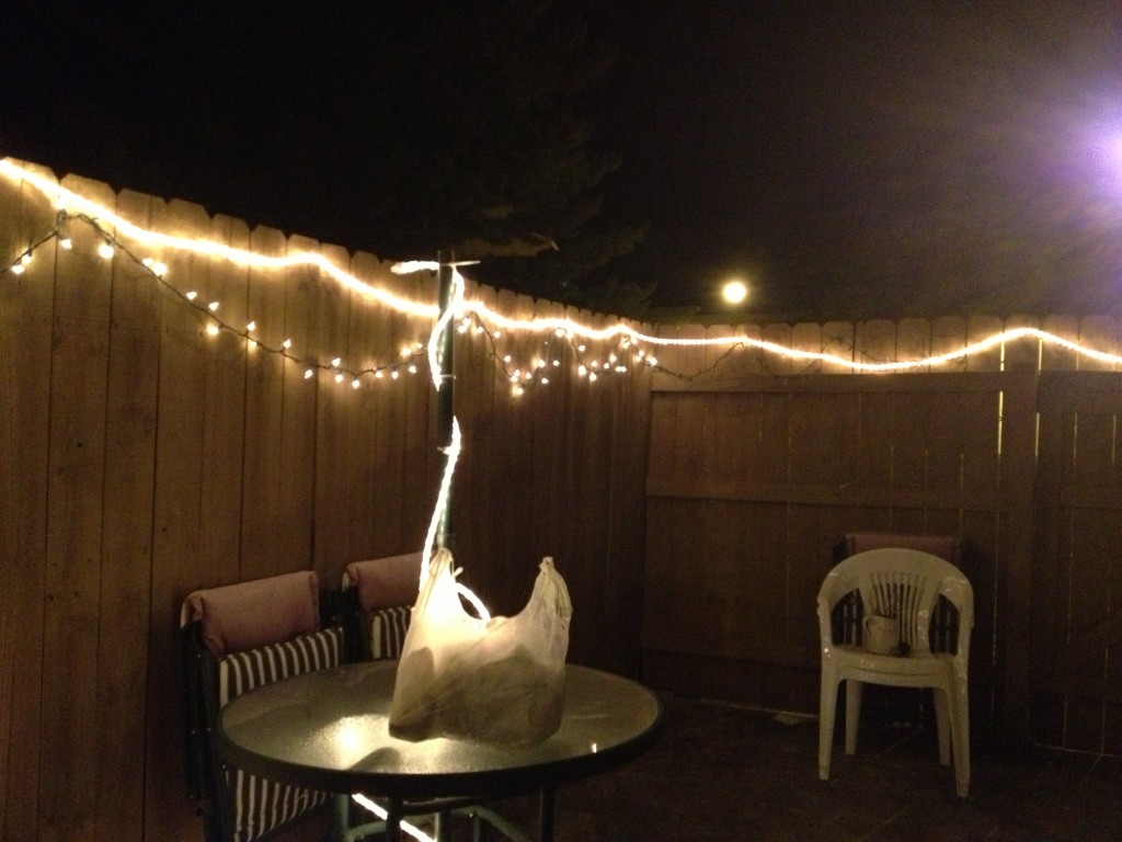 I've had Christmas lights up in the back patio forever, but decided to take the time to hang some rope light also!
